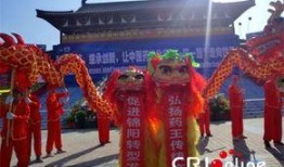 孙思邈在线观看,中医圣手智慧传承之旅